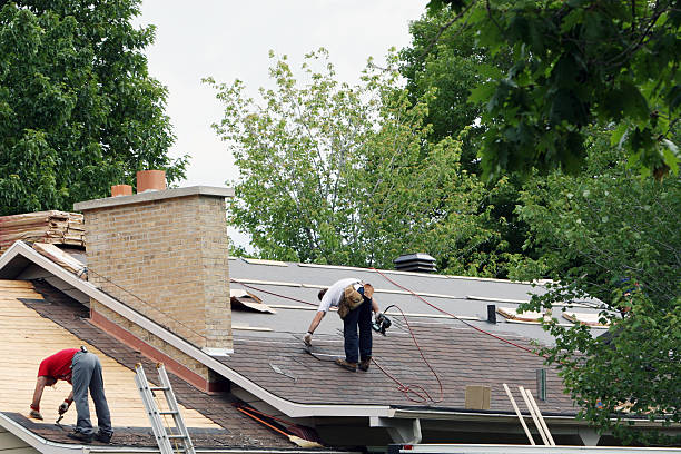 Best Shingle Roofing Installation  in Port Ludlow, WA